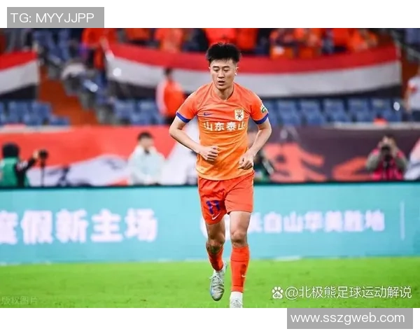 从街头到绿茵场足球明星的奋斗与荣耀之路